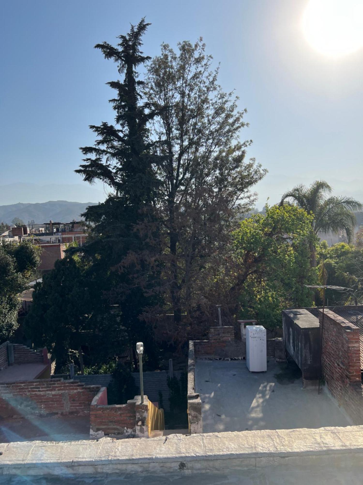 Cuyaya Hostel San Salvador de Jujuy Ngoại thất bức ảnh