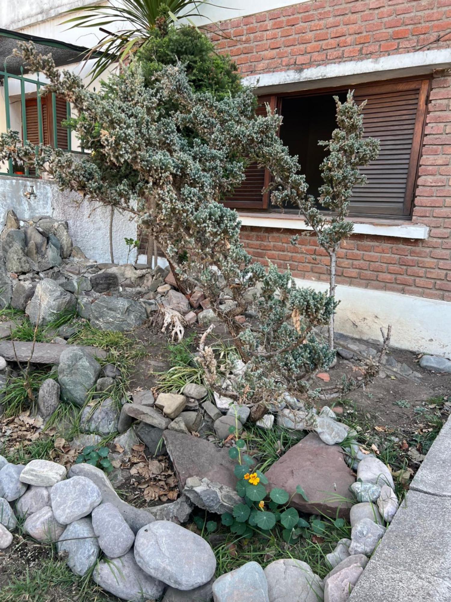 Cuyaya Hostel San Salvador de Jujuy Ngoại thất bức ảnh